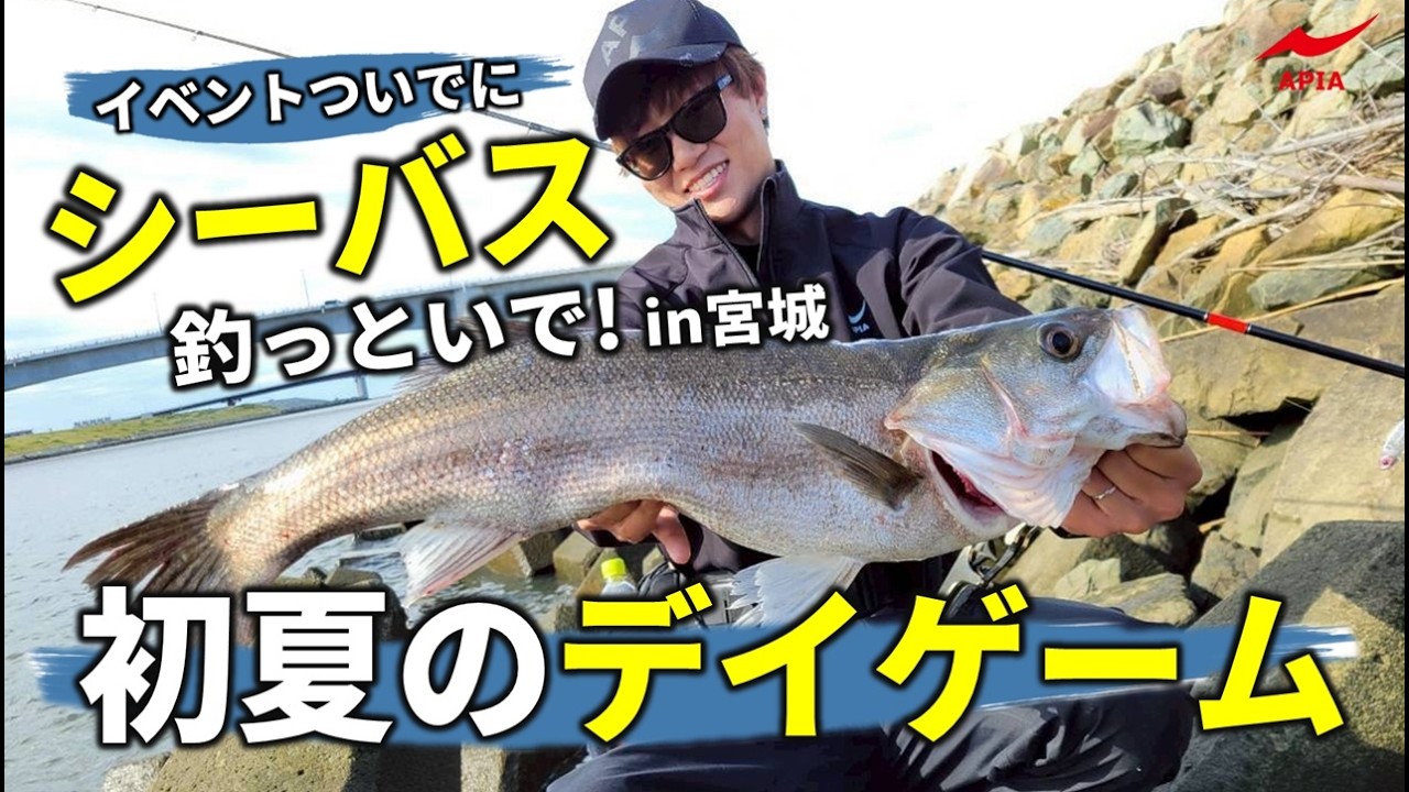 Must-have gear!] Catching sea bass in early summer day games while