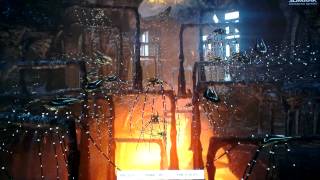 3DMARK (2013) DX11 physics test