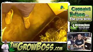 Ultimate Grow House Luke #25- lets check on the progress