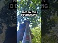 Nice day for didgeridooing. #didgeridoo #yidaki #dorombotherium