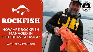 How Are Rockfish Managed in Southeast Alaska
