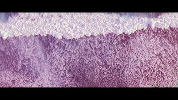 Shébani - Scylla (Official Video)
