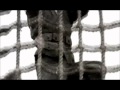 Sabaton - Purple Heart (PL Lyrics)