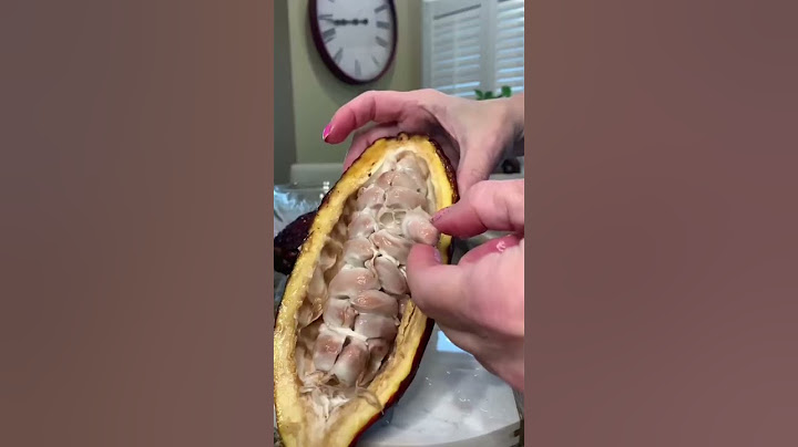 What is chocolate made of?   What is the cacao pod?