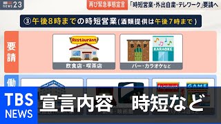 1都3県に緊急事態宣言「制約ある生活を･･･」【news23】
