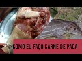 como fazer carne de paca passo a passo  ficar uma delícia 😋#How to make exotic meat?