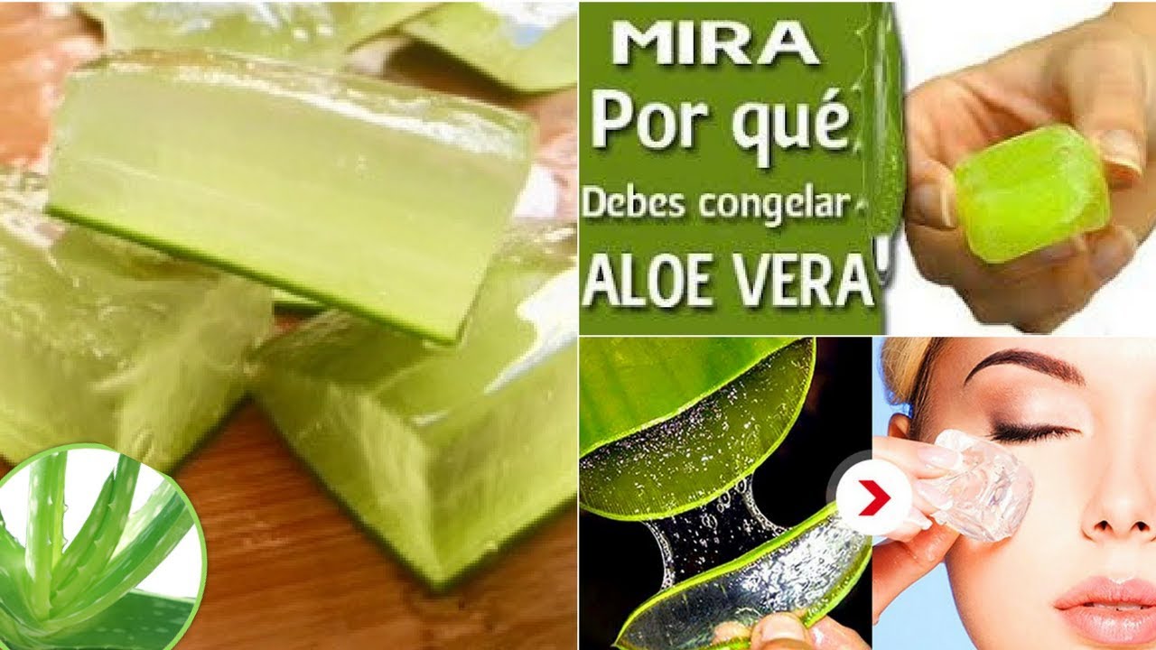 Aloe vera Congelado y como conservarlo