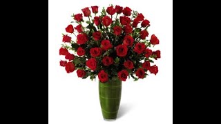 The Frugal Flower 736 Boston Post Rd Sudbury MA 01776 (978) 443-0030 Sudbury Floris