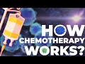 How Chemotherapy Works