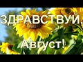 Здравствуй, АВГУСТ! Счастливого Августа! Музыкальная открытка друзьям.