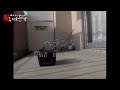 ほんとにあった!呪いのビデオ「ベランダ」