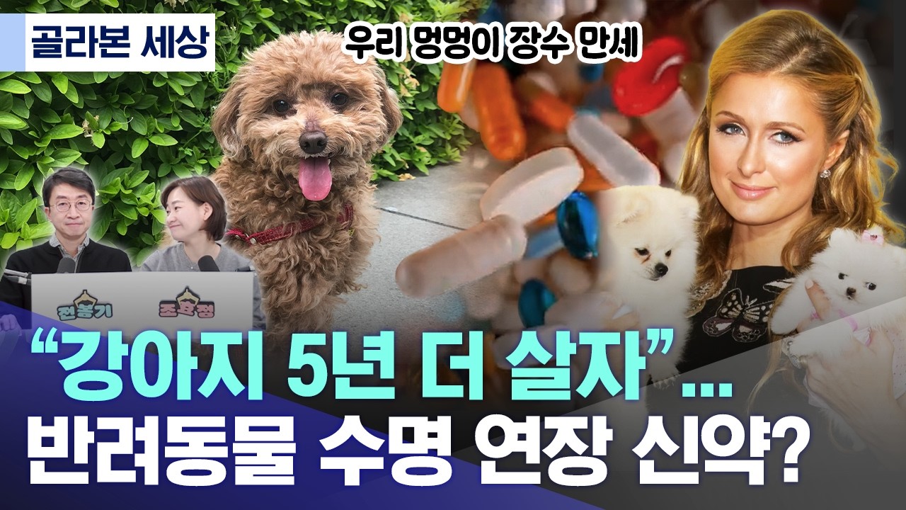 “강아지 5년 더 살자”...반려동물 수명 연장 신약? (2026.02.23/MBC)