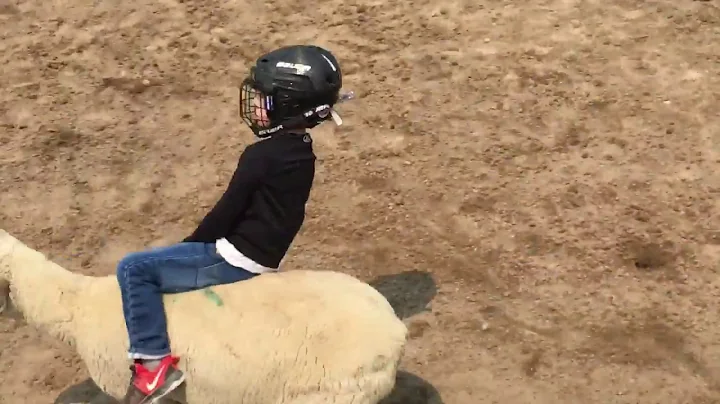 Colton Mutton Buster