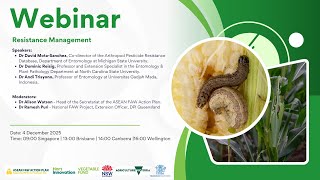 FAW resistance management