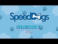 Speed Dogs: Splatoon 3 and Pupperazzi by quoooo