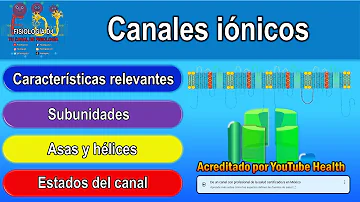 ¿Cuál es la función del canal ionico?