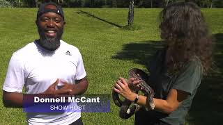 Parks In The Palm Beaches Okeeheelee Nature Center Part 1