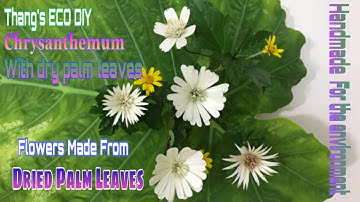 Cách Làm Bông Hoa Cúc, Xuyến Chi,Thạch Thảo Từ Lá Cọ Phơi Khô|Thủ Công Vì Môi Trường|Thang’s ECO DIY