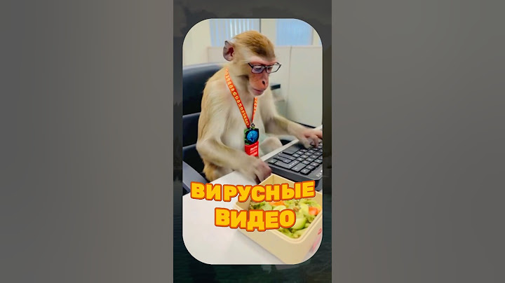 ВИРУСНЫЕ ВИДЕО / СОБАКА с арбузом 🤣