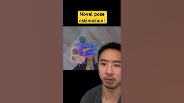 Novel pose estimation! #computervision