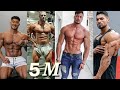 Gym Attitude video \Gym lover status \ Gym Tiktok shayari \Most people Gym shayari \ Gym Attitude