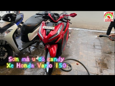 VARIO ĐỎ CANDY PHỐI ĐEN BÓNG  SƠN XE HOÀNG PHÚC