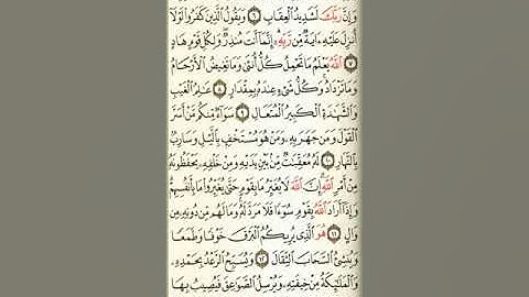 من سورة الرعد بصوت رائع للشيخ ناصر القطامي