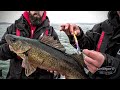 Walleye Fishing with the Rapala Husky Jerk 14