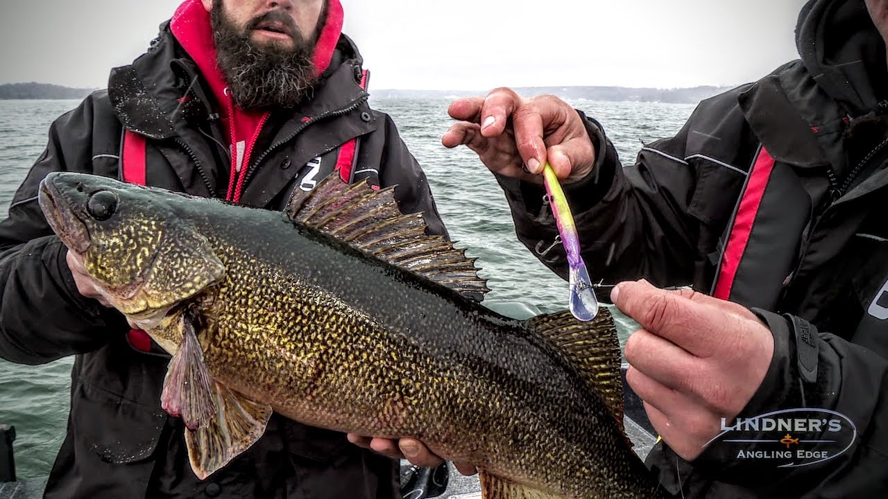 Walleye Fishing with the Rapala Husky Jerk 14 