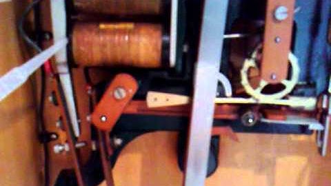 A Rough Guide to a Pulsenetic Clock