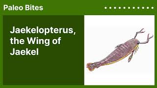 Jaekelopterus, the Wing of Jaekel | Paleo Bites