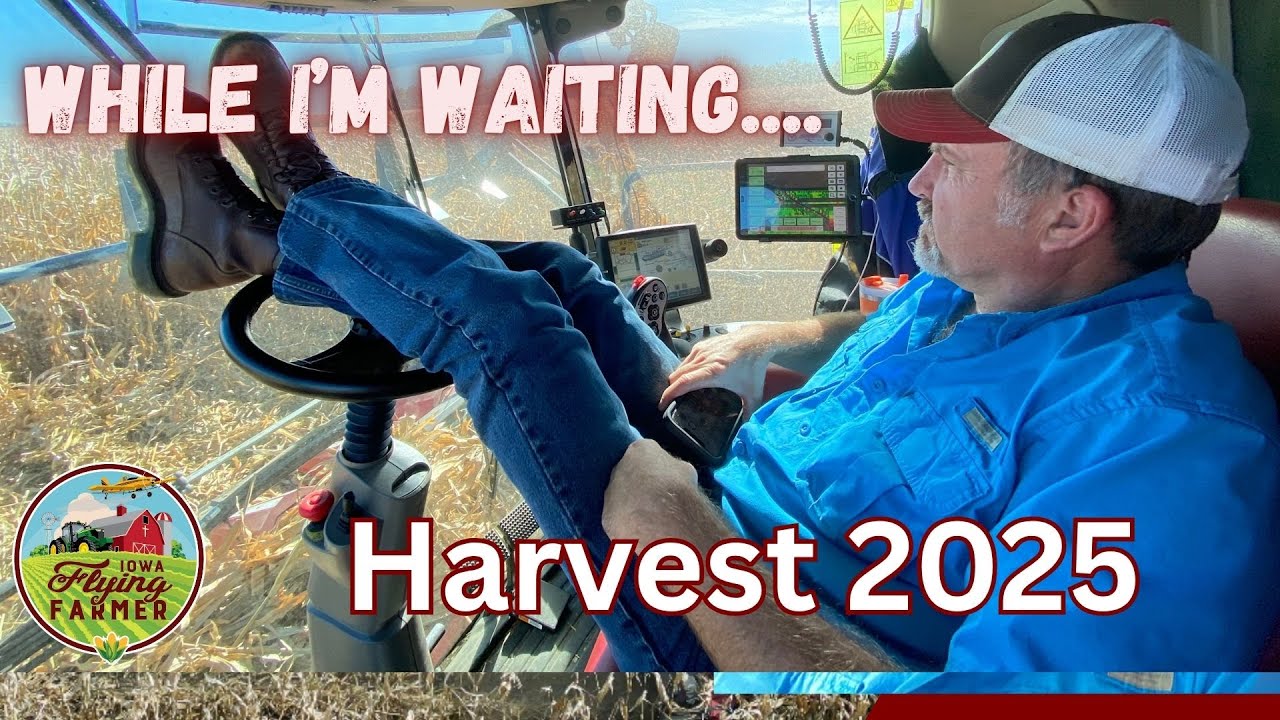 Уборка кукурузы в Айове 2025 завершена. Ждём полуфабрикаты.