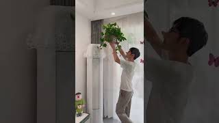 Modern Stylish Kitchen Setup Smart Faucet, Cute Decor Functional Home Inspiration