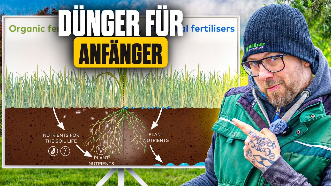 petunien dünger kaufen TerraDomi Balkon- und Kübelpflanzendünger 1 Liter Flüssigdünger Konzen –  TerraDomi Onlineshop main image 0