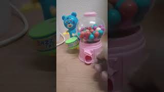 LARGE PINK GUMBALL MACHINE DISPENSER WITH CUTE KITTEN 😸 DRUMMER AMAZING 🙃 #shorts #viral #trending
