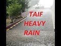 Saudi Arabia        ।            Taif        ।          Heavy Rain