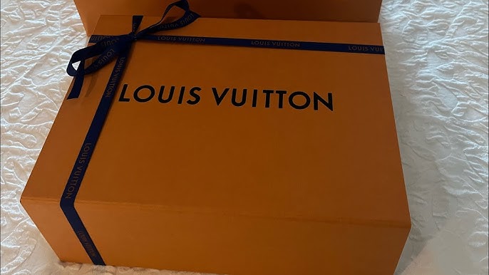 WHAT FITS: Louis Vuitton Félicie Strap & Go 2021 