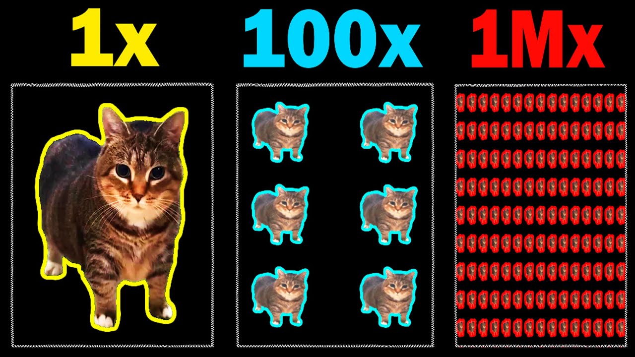 OIIAOIIA CAT Meme - Over 1 Million Times - YouTube