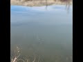Fishing trout in Washington