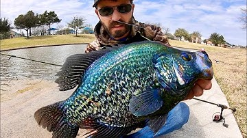 The MOST EPIC CRAPPIE I