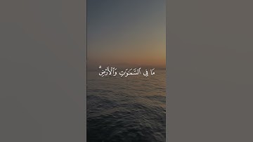 سورة يونس 55 | عبدالرحمن مسعد [قراءة 2023]