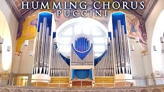 PUCCINI - HUMMING CHORUS - MADAMA BUTTERFLY - ORGAN JONATHAN SCOTT - ST MATTEUS, STOCKHOLM, SWEDEN