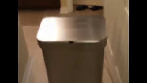 Trash Can Meme