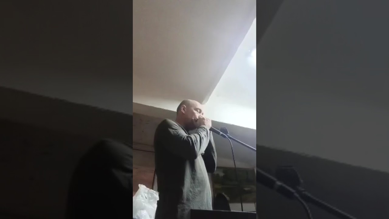 Металлика на губной гармошке