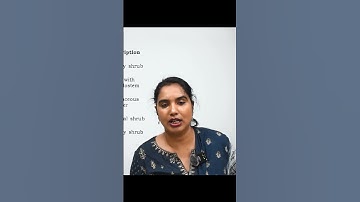 UPSC GS 1 Prelims 2025 Question Paper Discussion | UPSC CSE | Neelofer Suhelabano #upsc #shorts