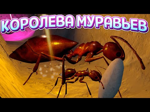 Я КОРОЛЕВА МУРАВЬЕВ