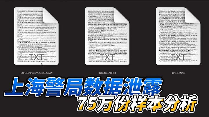 上海警局數據泄露，我們拿到了第二批免費75萬數據樣本，一些令人深思的關鍵詞數據 - 天天要聞