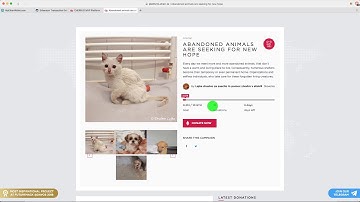 CHERR.IO MVP Platform - How to donate