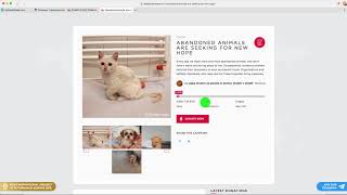 CHERR.IO MVP Platform - How to donate