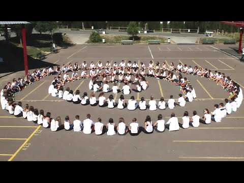 Cup Song - Collège Louise Michel - Chagny 71